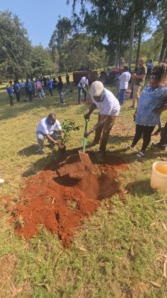 United Hands of Hope Loani  book launch & Planting trees at Paradise lost Nairobi